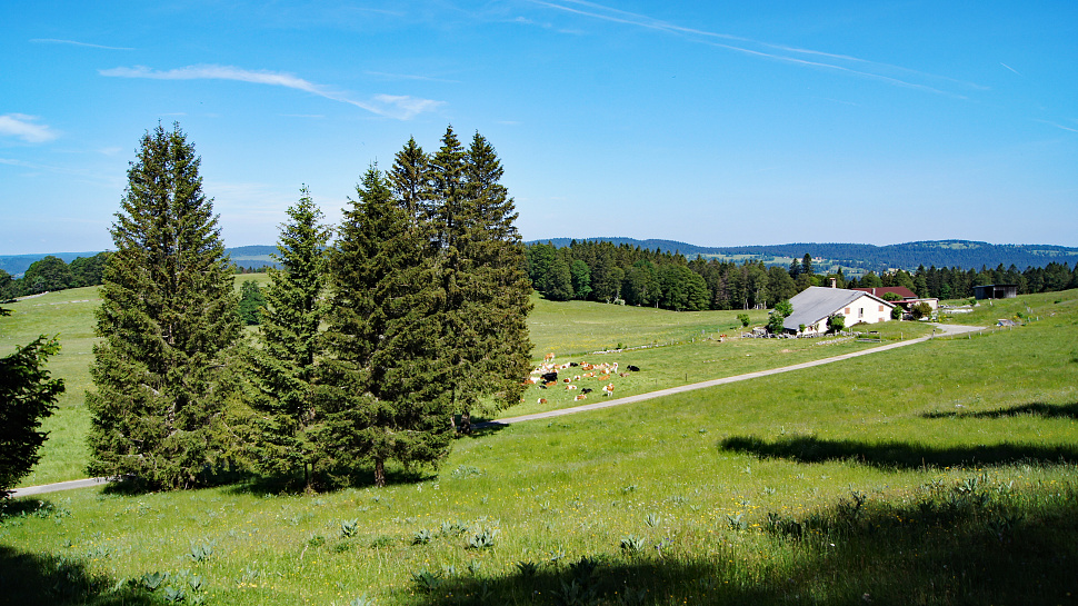 Wanderungen in der Region Jura